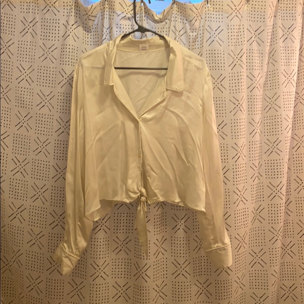 Wilfred satin blouse, aritzia. Worn once.